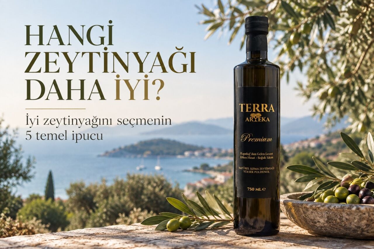 Hangi Zeytinyağı Daha İyi?